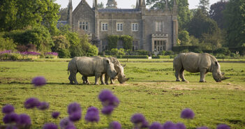 Cotswold Wildlife Park Visitor Information rhinos at Cotswold Wildlife par