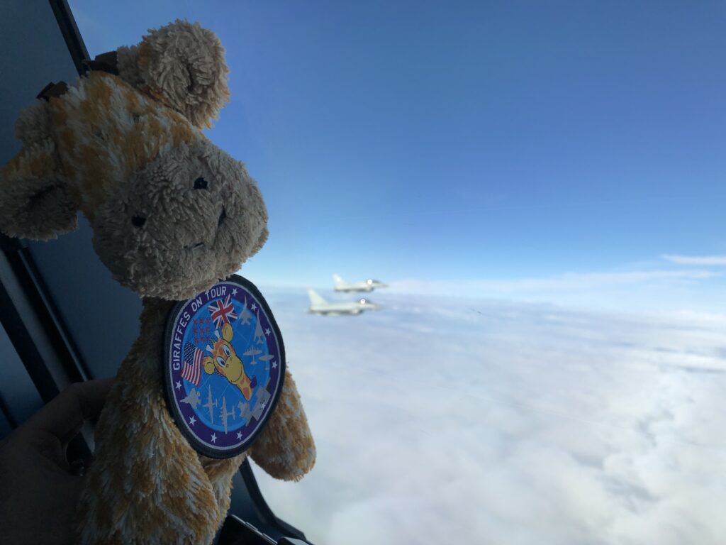 Flying High