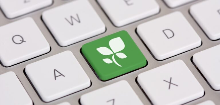 Green, Sustainable online presence