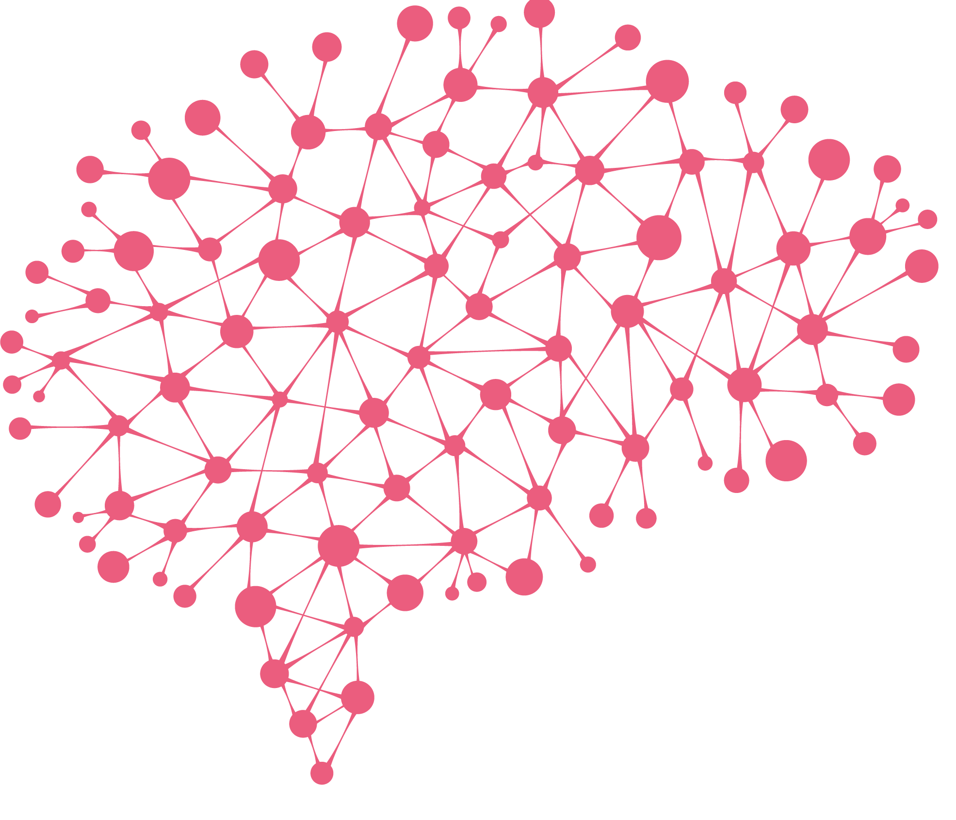 Project Brains