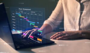 Enterprise Resource Planning (ERP) systems 