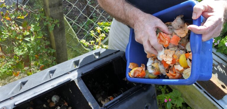 Food recycling