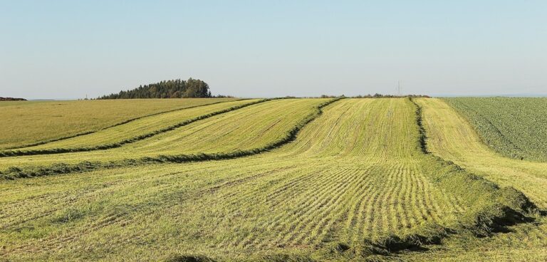 rural location, farmland