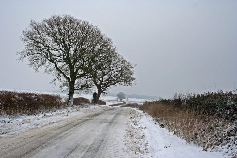 Making heavy weather offers tips on your obligations and dealing with staffing issues during periods of disruptive weather