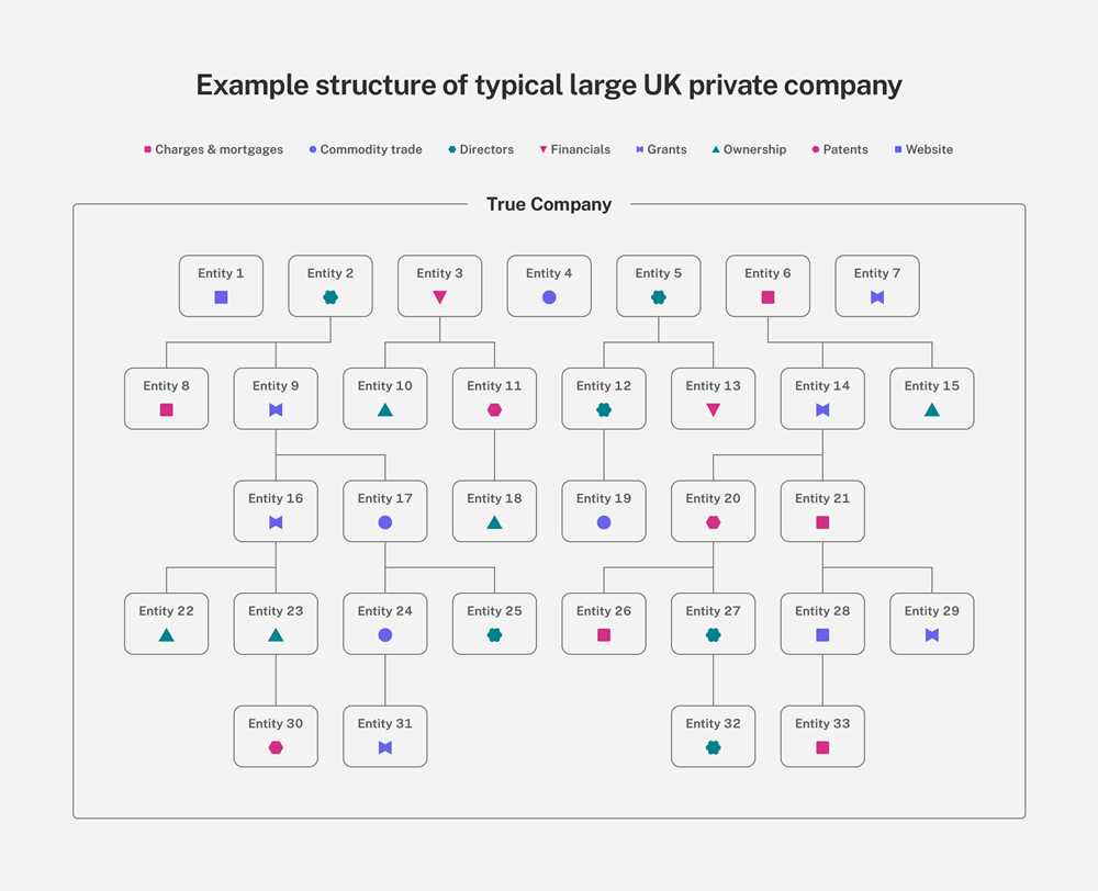 True Companies example structure of fragmented business and the different information registered to each entity
