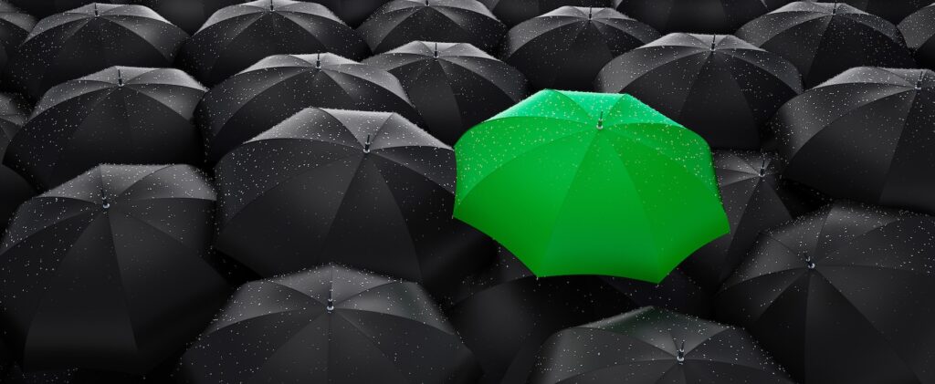 50:50 Deadlock: The Warning Signs of Shareholder Dispute and What to Do About It