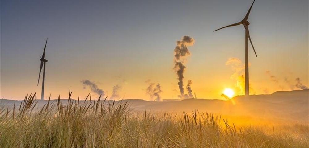 Beyond Carbon: The Financial Case for Measuring Nature Impact and Dependency